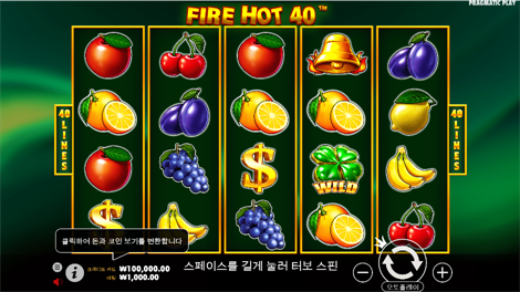 와일드 글래디에이터즈